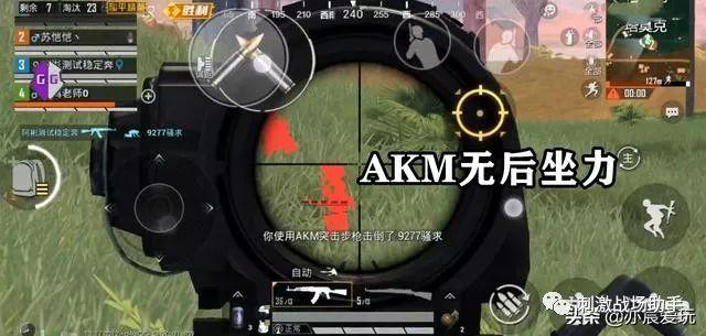 和平精英模拟器《ACE》内部辅助上架