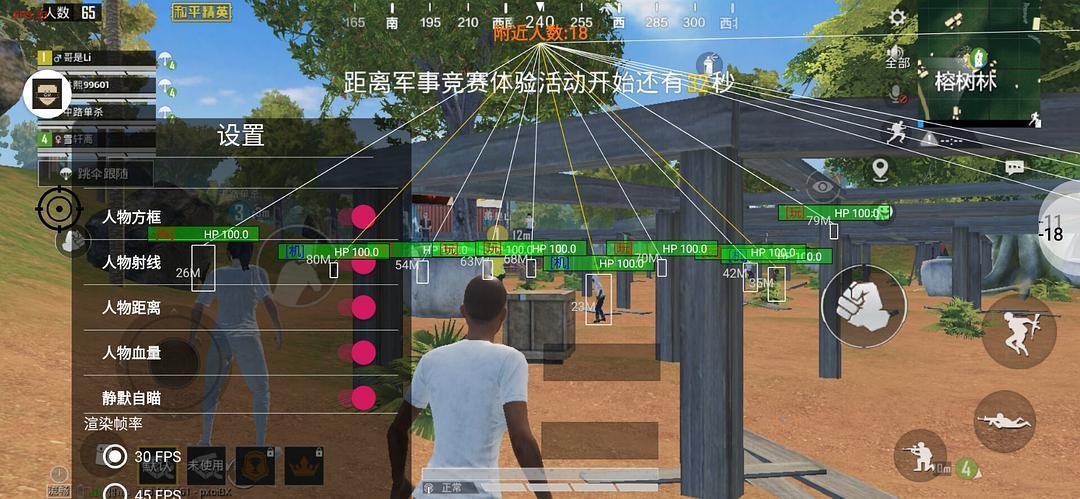 和平精英辅助【星光】