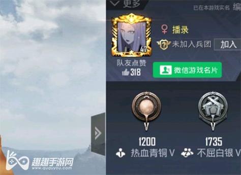 和平精英【正版ADC手搓】内核辅助